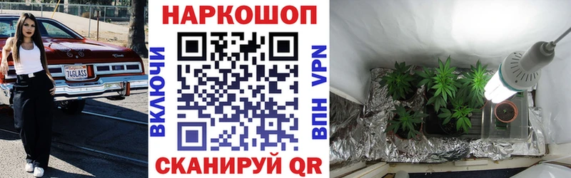 Названия наркотиков Шацк Каннабис  Метадон  МЕФ  LSD-25  COCAIN 