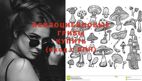 герыч Алзамай